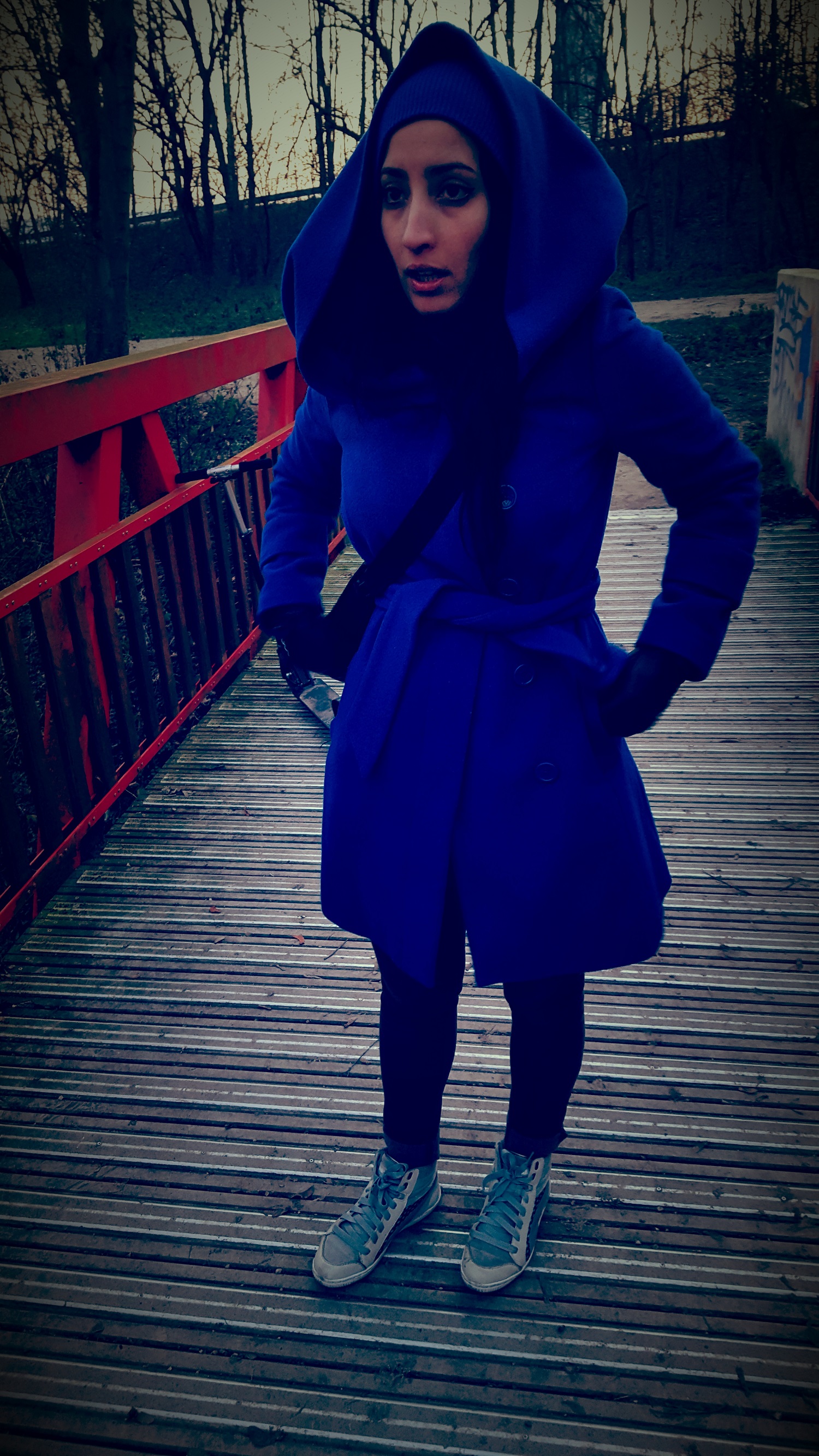 froid hivernal