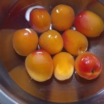 abricots1